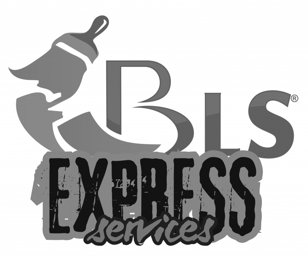 BLS Express Services